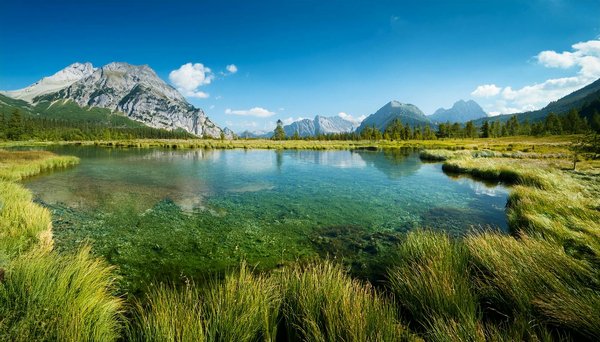 Camping en bord de rivière avec des enfants : tout savoir