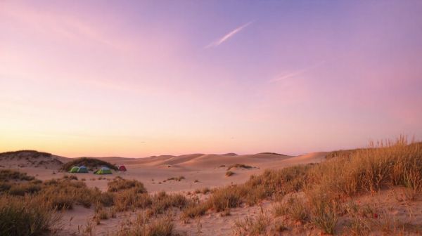 Top lieux de camping en Vendée pour se ressourcer aux dunes